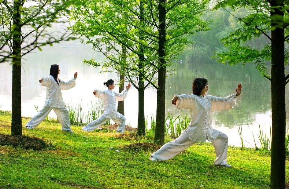 傅清泉传统杨式太极拳发劲练习,怎么练好杨氏太极拳起势