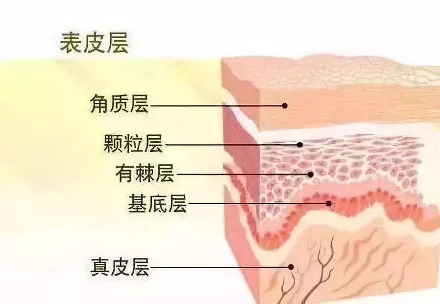 女子护肤品过敏,女孩网购护肤品