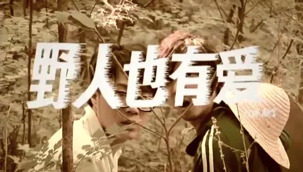 北京新裤子邮票,邮政2019邮票套装