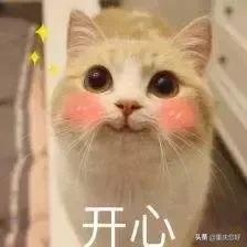 重庆二号线经过的万达广场,地铁2号线通到机场了吗