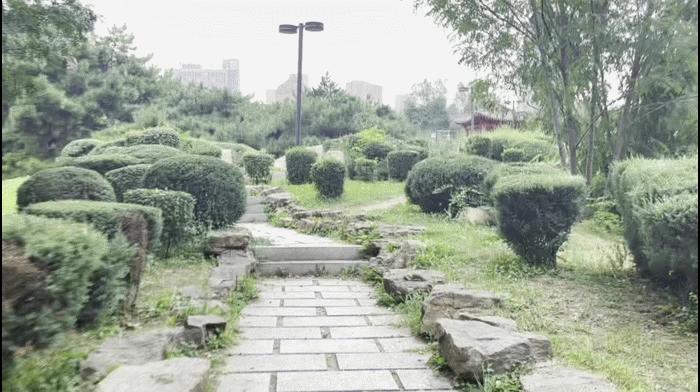 自动开合，三轴一体便携无压力-SNOPPA随拍ATOM2自动折叠手机云台