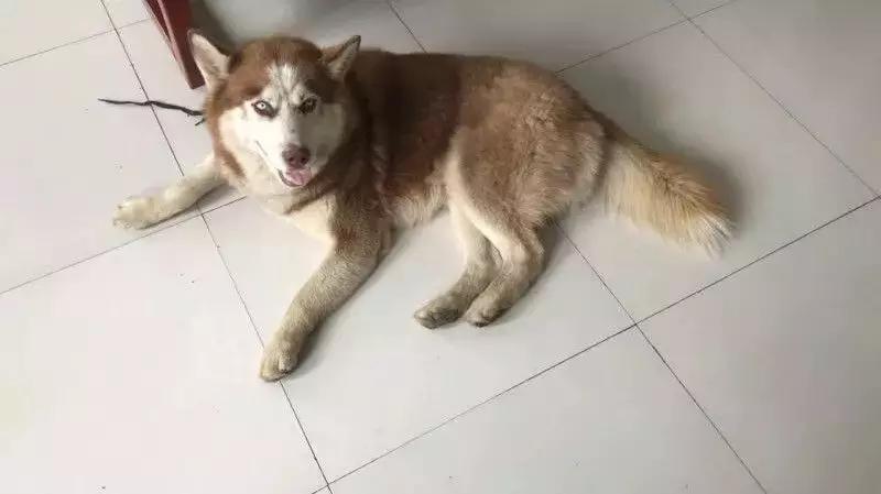 还没看《神奇动物在哪里》？没关系，你错过的神奇动物都在这里