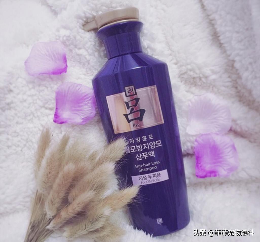 紫吕哪一款是适合粗糙发质的,紫黑吕控油去屑