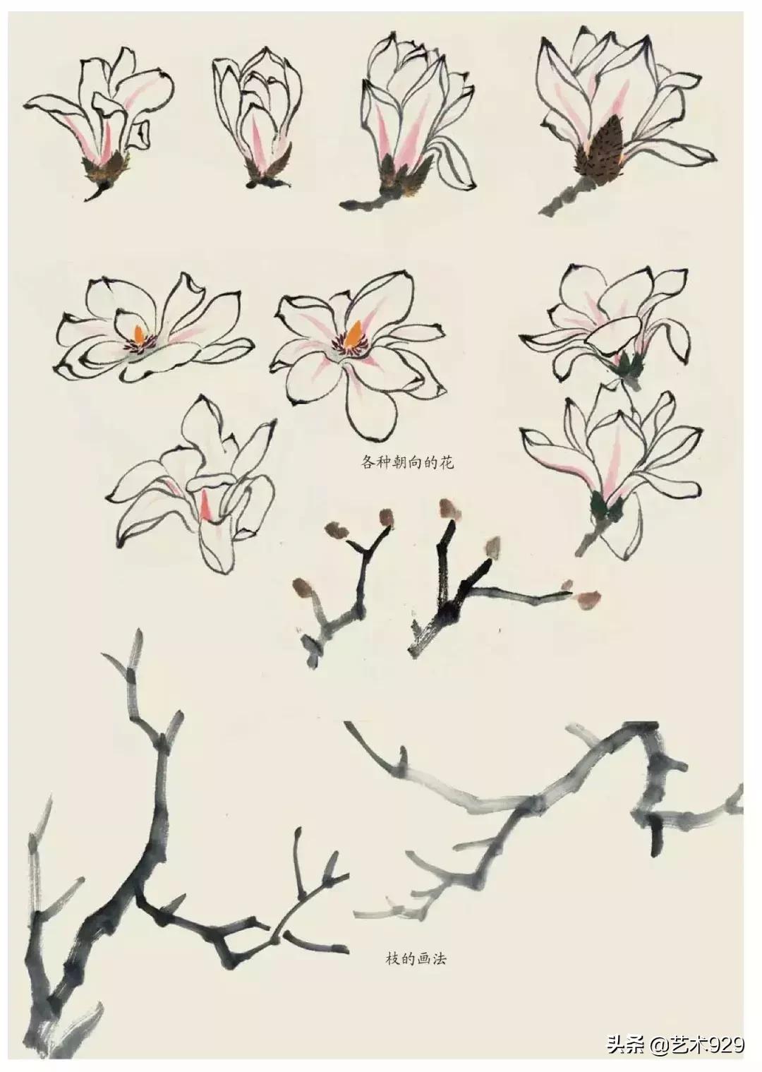 国画技法工笔花卉配色与花叶染法,国画欣赏精致的工笔彩色花卉