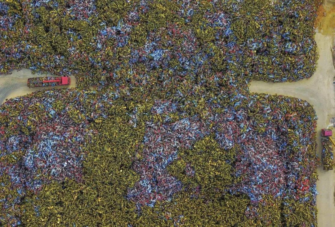 ofo共享单车消失的原因,ofo共享单车消失了怎么办