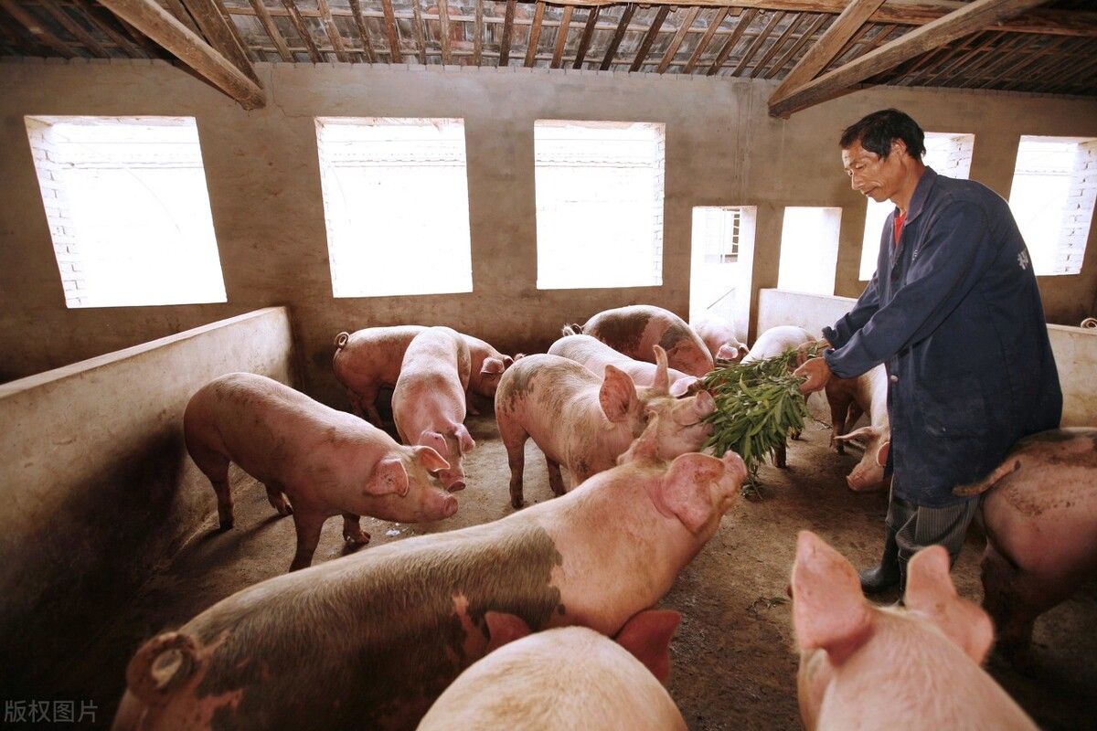 南阳商机加盟,南阳挣钱商机