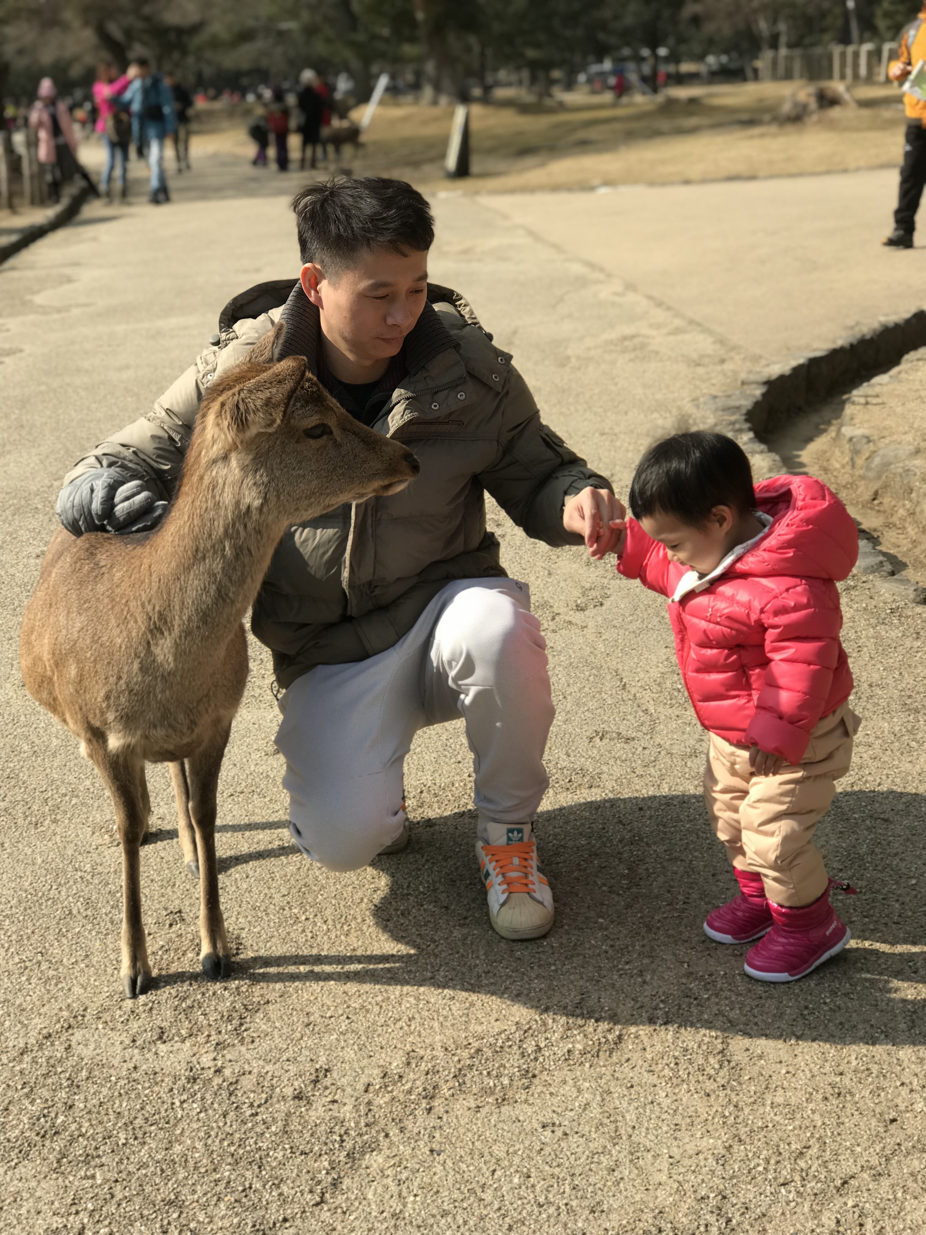 80后旅游博主,80后旅行博主