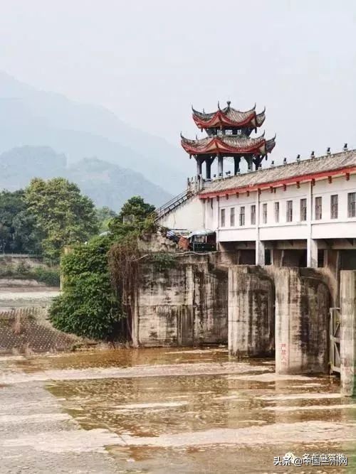 兰州到重庆绿巨人,兰州至上海绿巨人