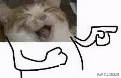 鱼雷燃料能当饮料喝，M系鱼雷拉跨的原因找到了