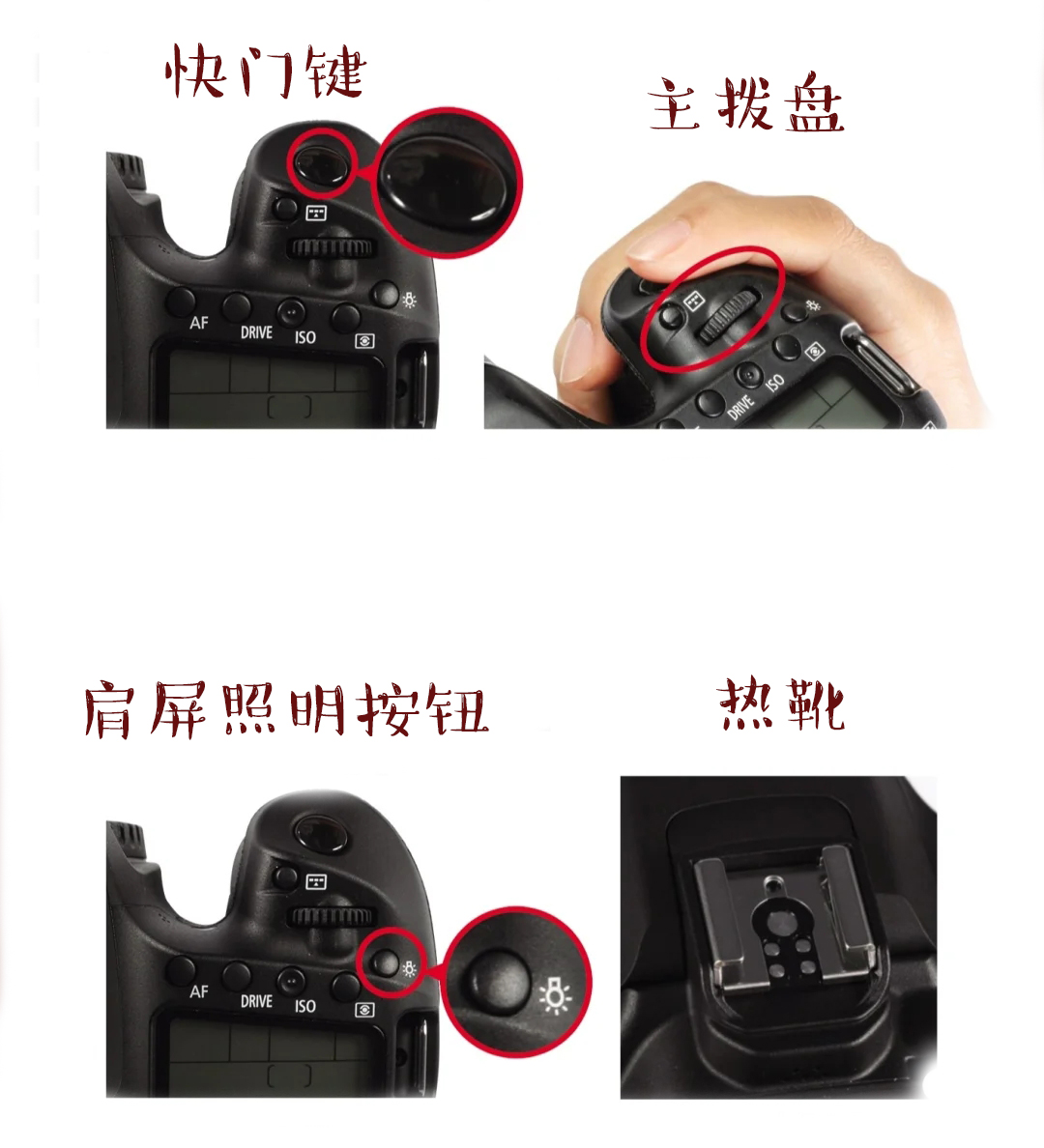 nikon单反相机按键功能介绍,8张照片科普模板