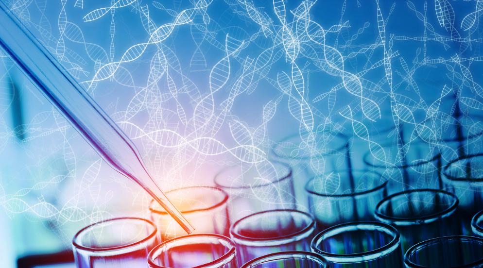 邦盛医疗集团,邦盛医疗发展前景