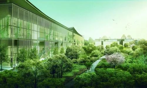 从不被看好到万众瞩目库里,从不被看好到惊艳