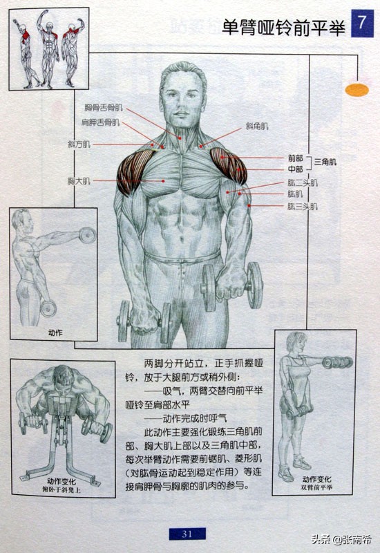 男士健身的进阶之路,男士运动健身全攻略