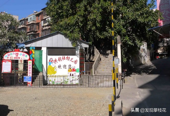 攀枝花历史│渡口市供销合作社