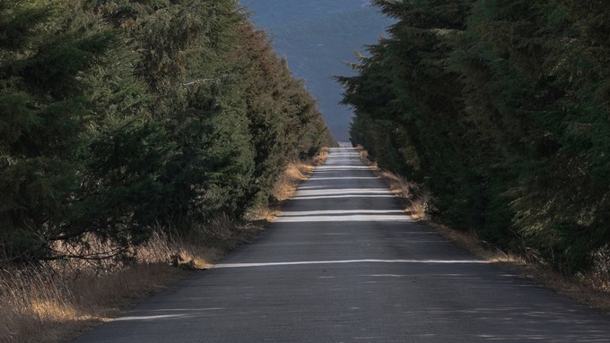 自己去云南大理旅游要多少钱费用,去一趟云南大理要多少钱旅游费用