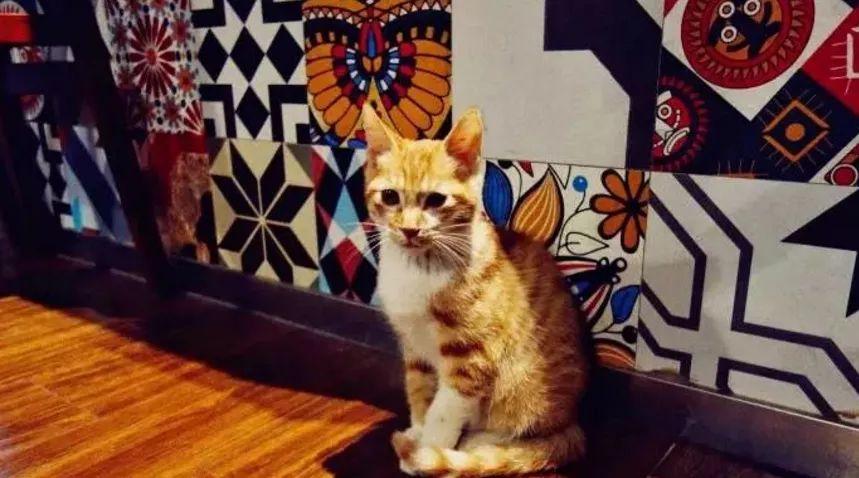 武汉江景咖啡馆排名前十名,探店武汉咖啡店