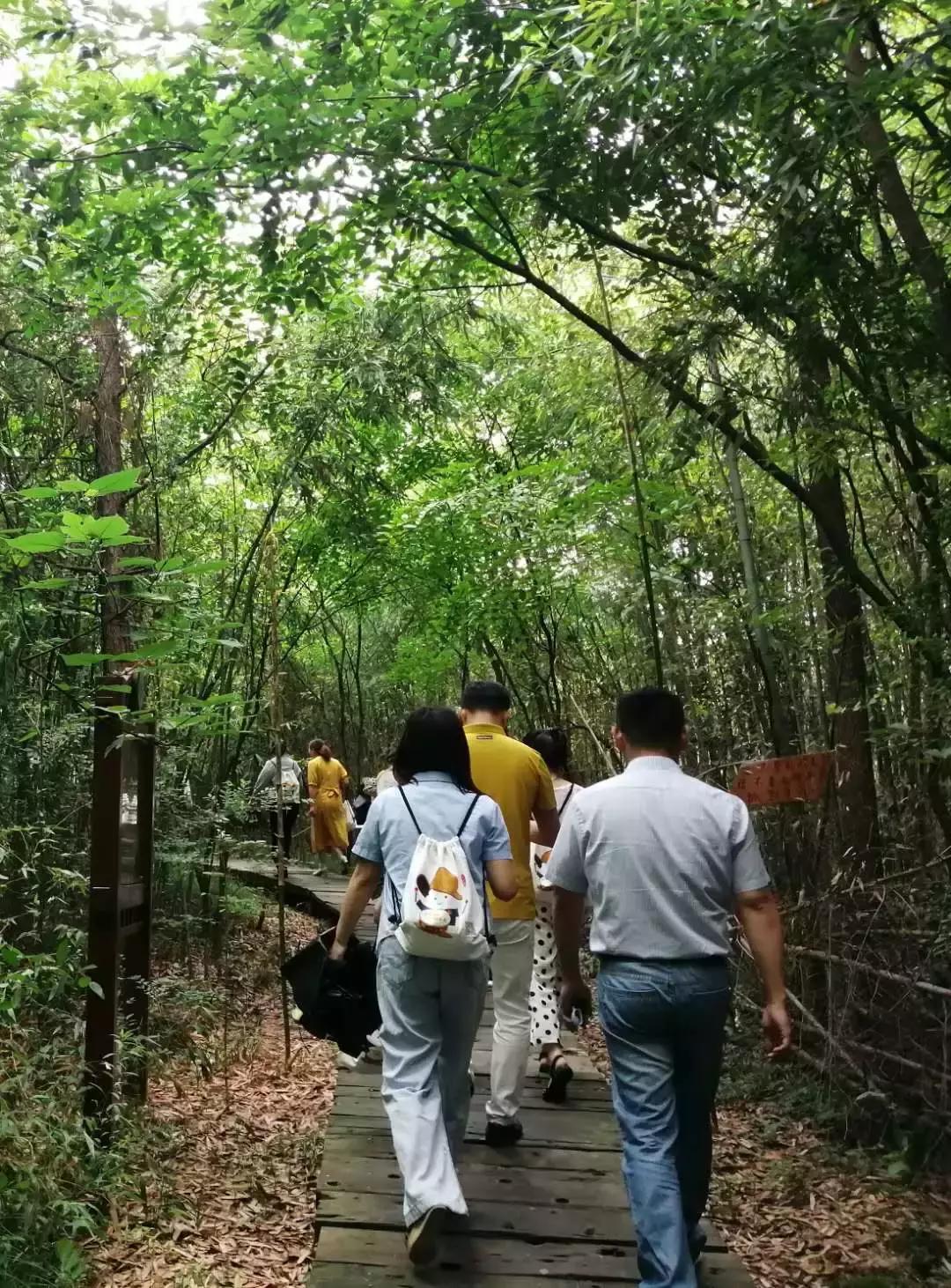 来，跟着“新高淳人”看高淳～