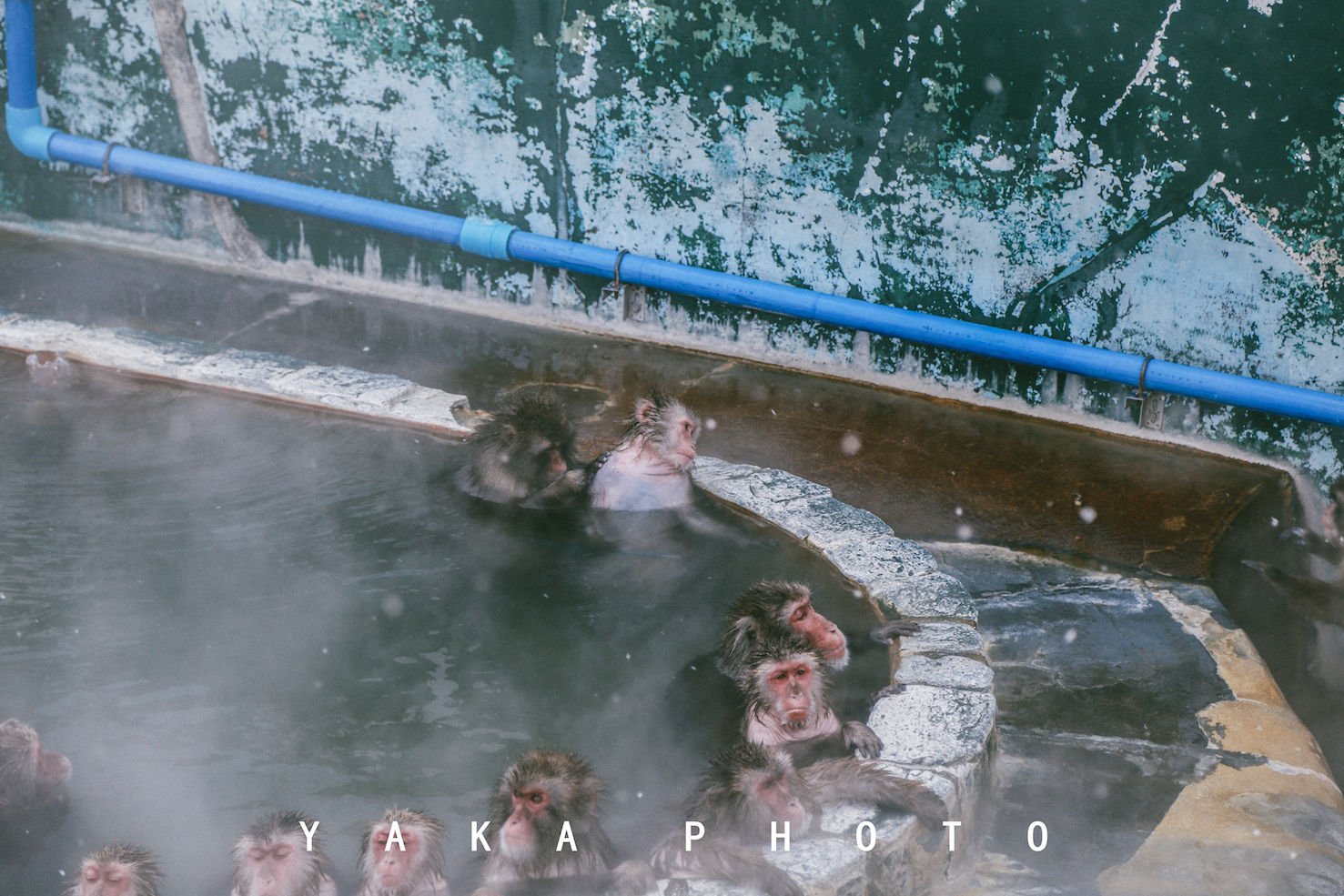 北海道函馆攻略一日游,12月北海道函馆有什么推荐