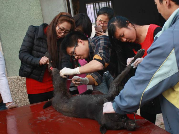 张雪峰十大冷门专业完整版,月薪过万十大冷门职业排行榜