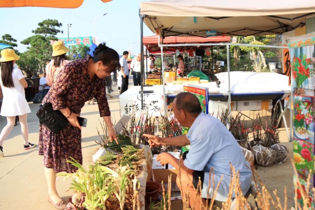 花木盆景活动,秋冬季花木节盆景展
