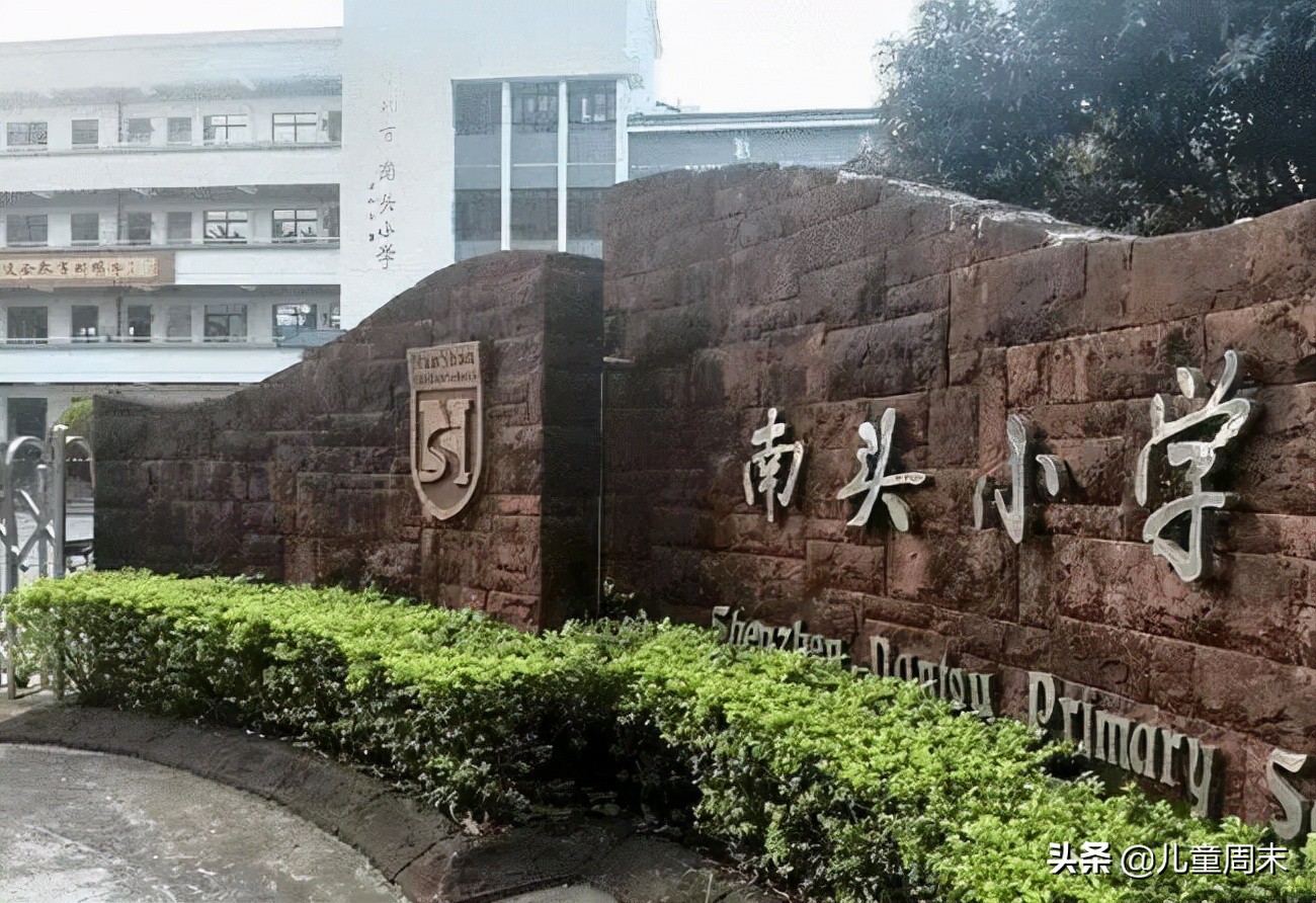 深圳龙岗十大民办小学排名,深圳南山区十大公立小学