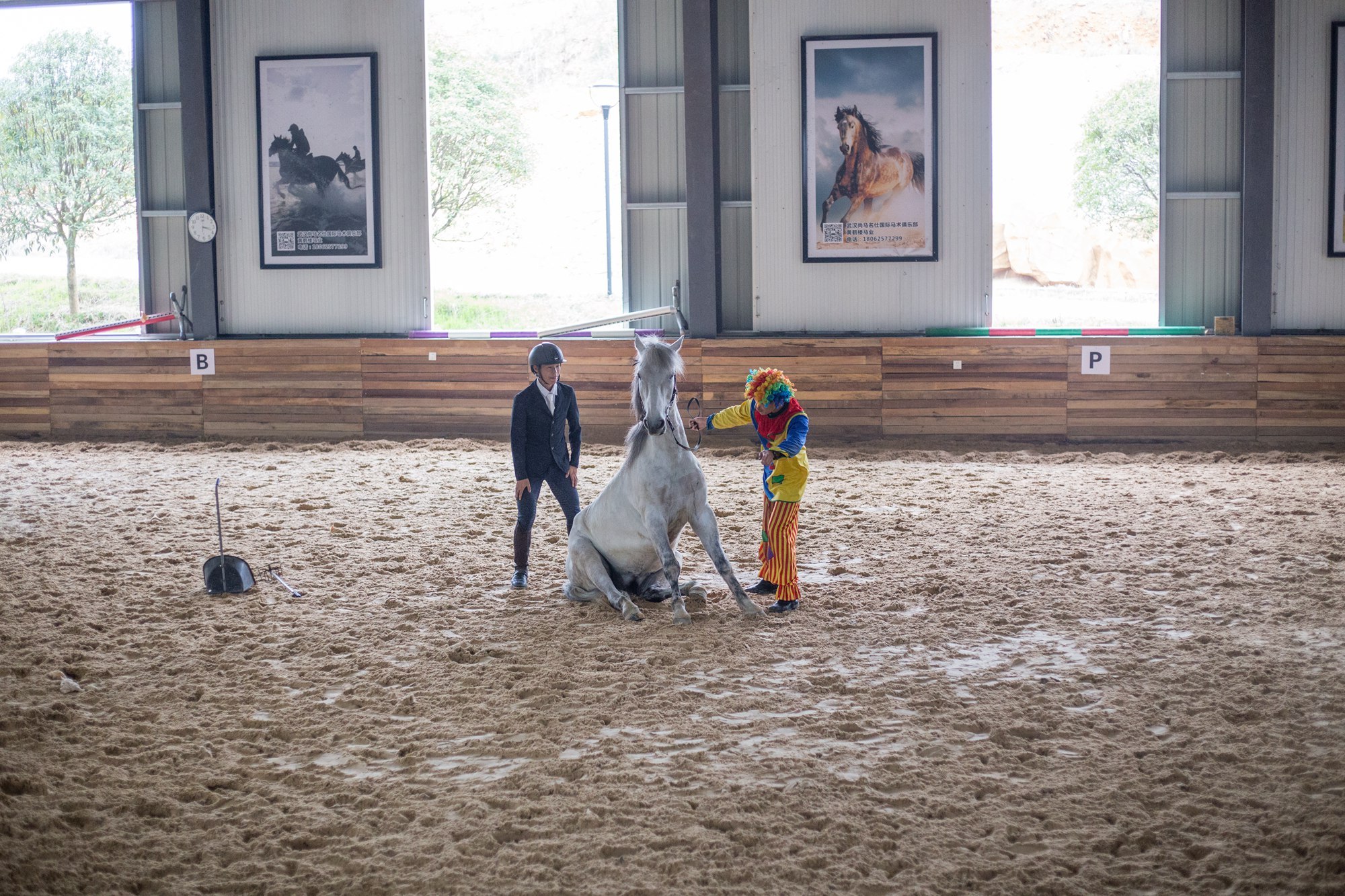 今日春分,武汉这时候不仅有樱花,这里的花随风一吹人都酥了