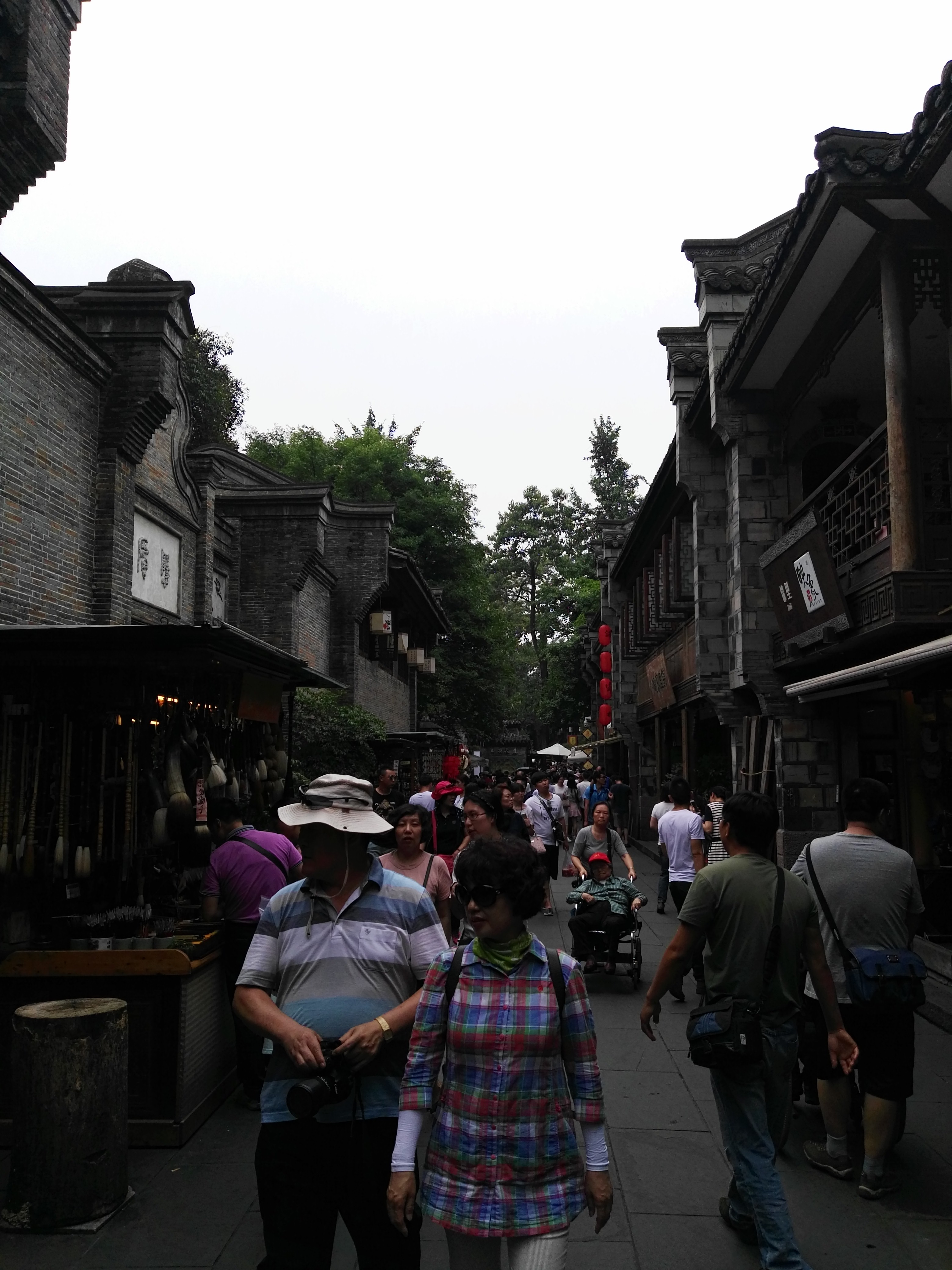 成都游后感,游四川成都作文