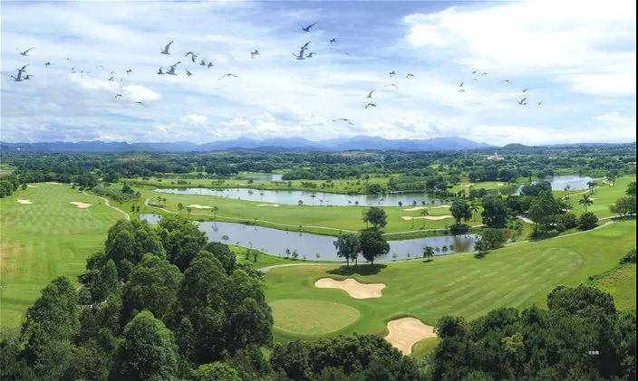 来喽·惠州候鸟印度洋风情别墅~网红泳池+休闲单车、农家特色菜