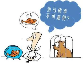 菲律宾宿务语言学校推荐,菲律宾宿务国际语言学校旅游