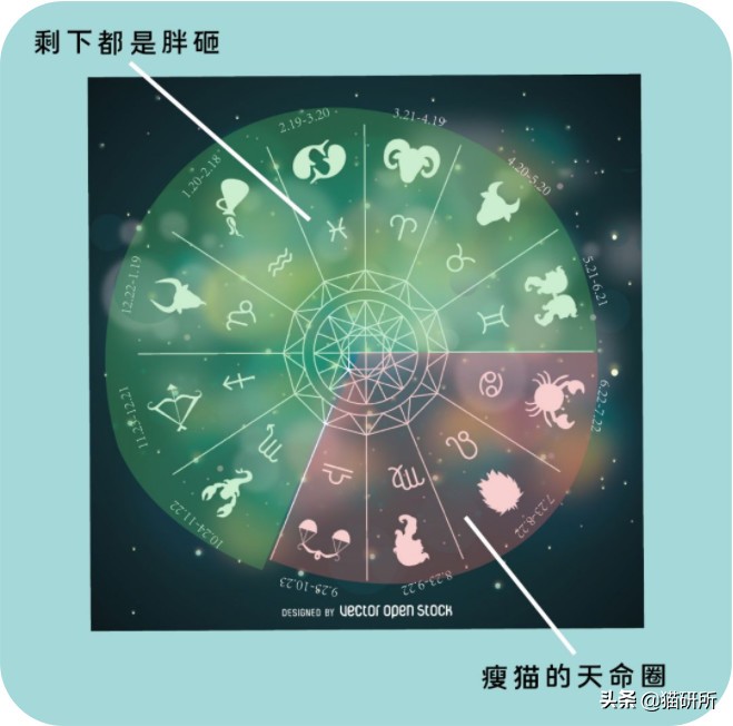 猫砂的100个常识,猫砂成分能被什么反应掉