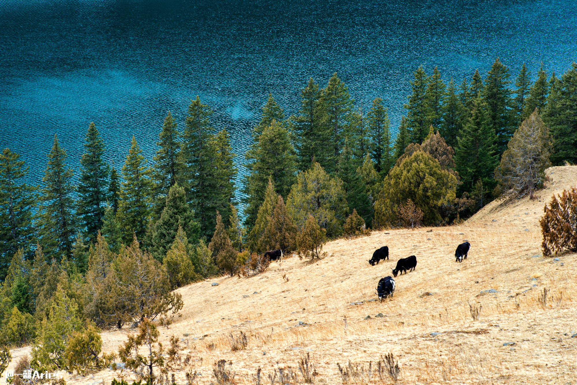 川西赏秋什么时间最好,推荐全球十大最佳赏秋胜地