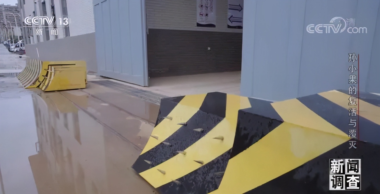 社会与法孙小果,社会评论孙小果