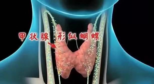 口干心里烧喝水不解渴是什么原因,口干口渴喝水多尿也多是什么原因