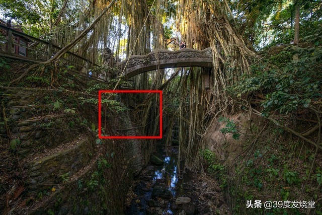 佳能rf15-35mmf2.8,佳能rf15-35f2.8镜头尺寸