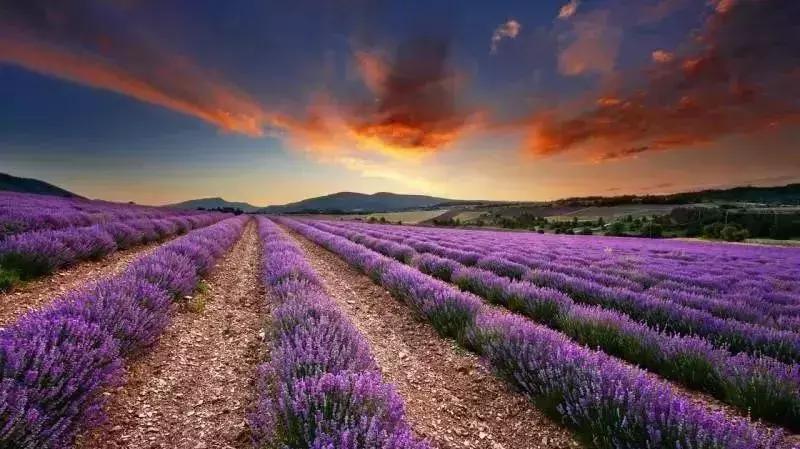 身份证410、411、412开头的，去了郑州就等于去了全世界