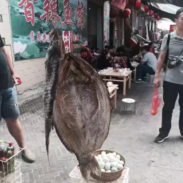 它，坐拥万亩荷花？它，也因《弹起我心爱的土琵琶》而耳熟能详？