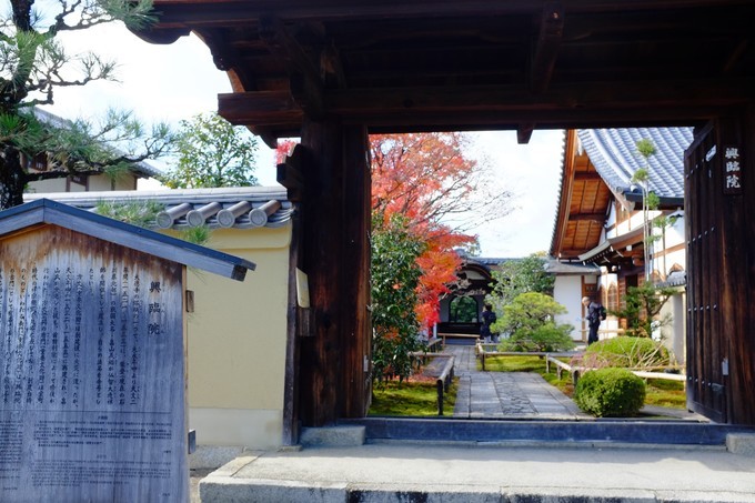 京都赏枫2022,京都赏枫必去景点有哪些好玩的