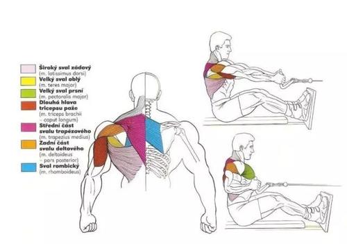划船机真的有效果吗,划船机真的有用吗