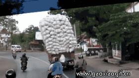 瓒崇悆鎼炵瑧杩涚悆鍔ㄥ浘gif鍥剧墖,韪㈢悆gif鐖嗙瑧