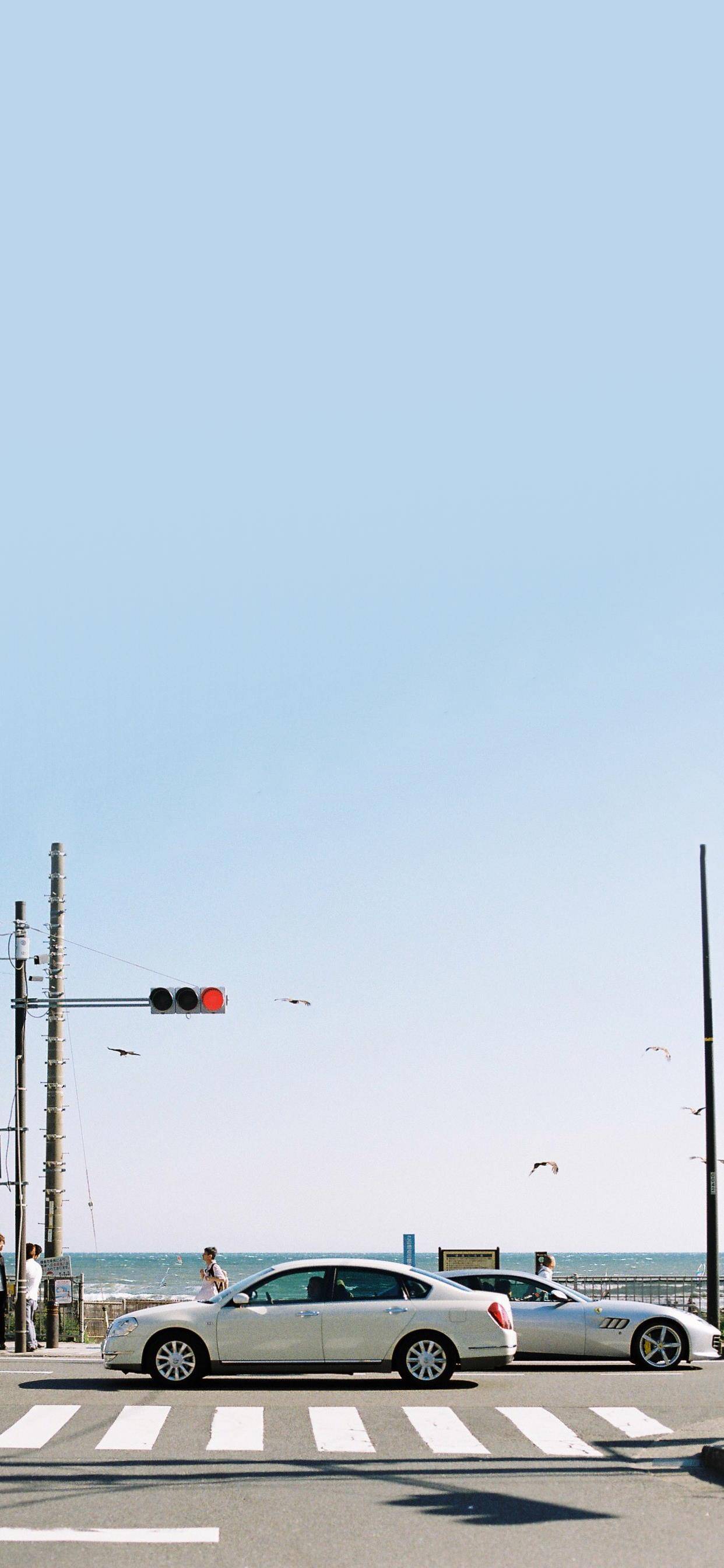 最宁缺毋滥的星座,宁缺毋滥绝不将就的星座有你吗