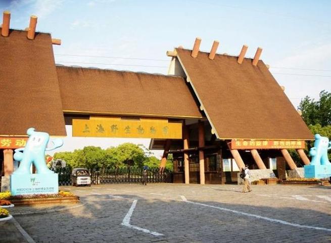 上海热门旅游景点上海野生动物园旅游攻略低音号语音导游