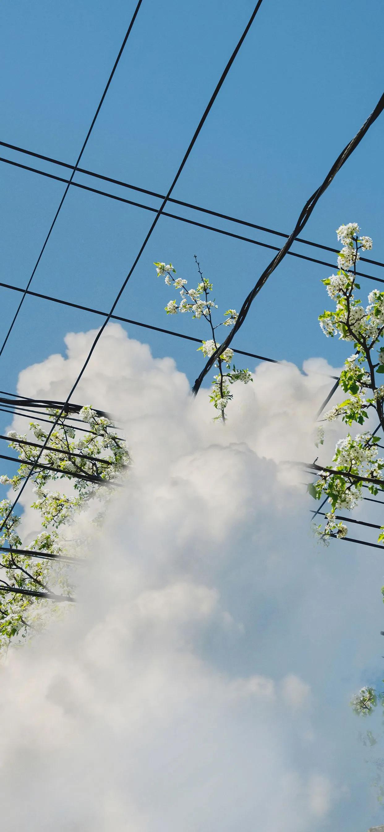 让人很惊艳的微信壁纸,2021独一无二微信背景高清壁纸