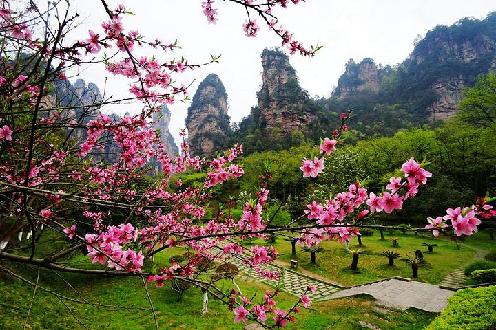 张家界旅拍攻略_张家界婚纱摄影好地方