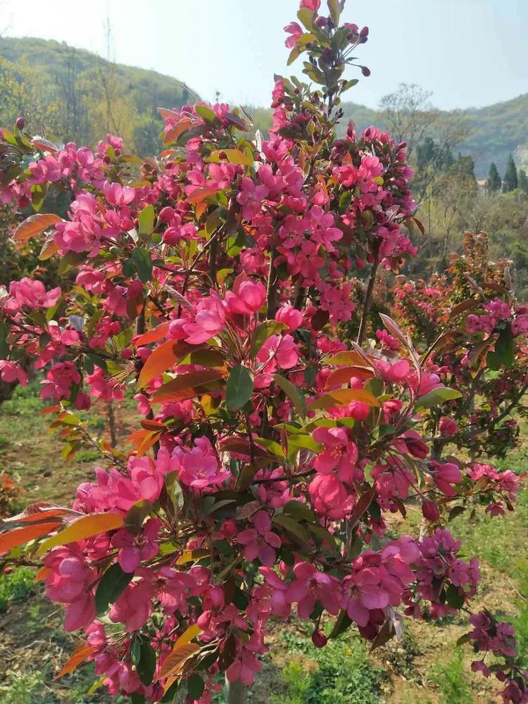 坚定信心同舟共济实现民族复兴,坚定信心共克时艰战贫战疫必胜