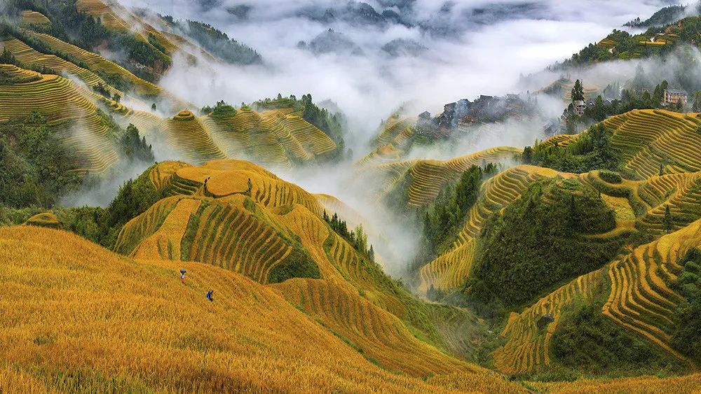 「漫步学府，行摄龙脊」最美金秋，我在这里等你