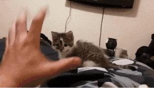 “你太低估了我的脚气，不知道还有没有救？”年轻总要付出代价