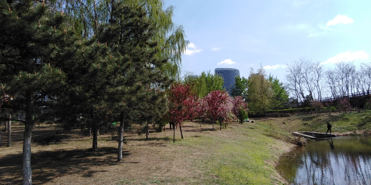 沈阳长白岛森林公园一日游攻略,长白岛森林公园五一