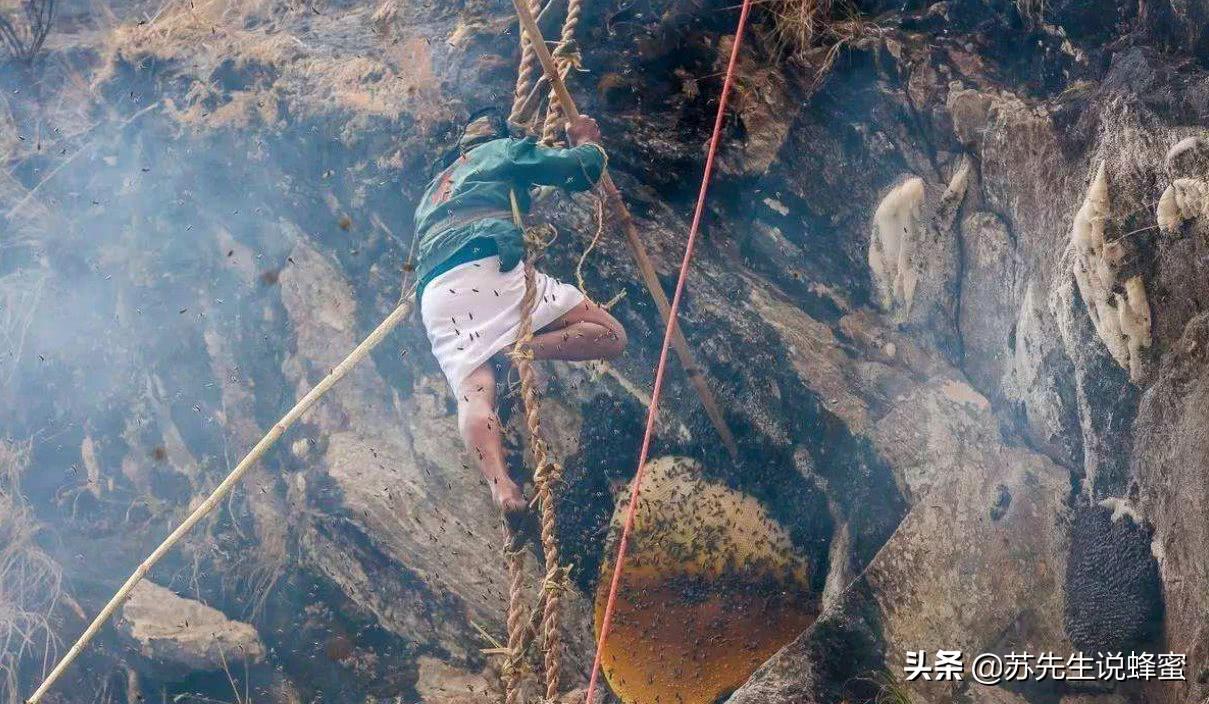 多少钱一斤的蜂蜜才是真蜂蜜,好蜂蜜的价格一般是多少钱