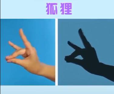 宝宝睡前玩的手影游戏,儿童手脑协调游戏