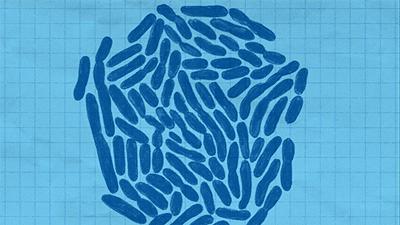 如何预防念珠菌,如何根治顽固的念珠菌